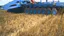Lemken Rubin 12/600 KUA